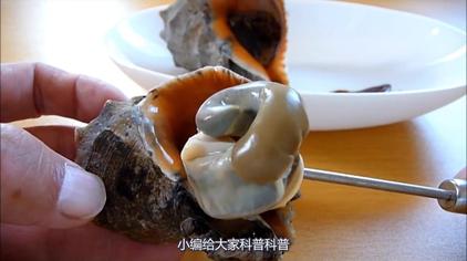 海螺图解 - 西瓜视频