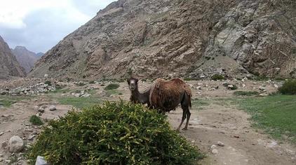 房车自驾游大毛