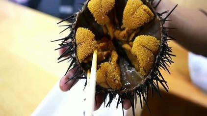 跪海胆 - 西瓜视频