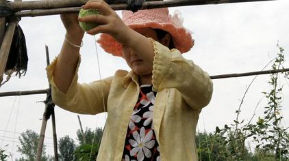 豆角用绳子搭架图 - 西瓜视频