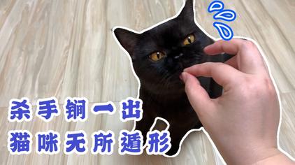 屋塔房小猫 西瓜视频