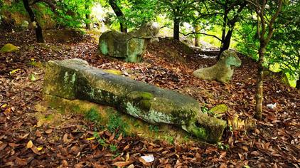 普宁杨锡波 - 西瓜视频