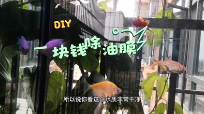 鱼缸除油膜器的原理图 西瓜视频