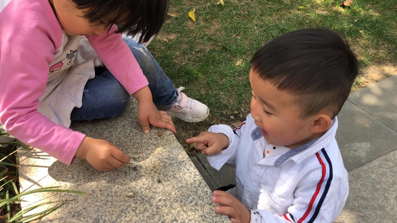 大自然是最好的教科书,姐弟俩今天研究潮湿虫(学名鼠妇)的习性  西瓜视频