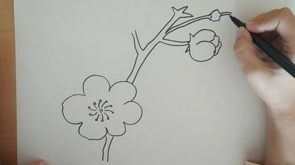 01:24欣然画画#儿童启蒙教育#,画画入门教程变高手,简笔画梅花的画法